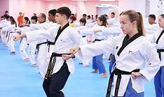Annual World Taekwondo Culture Expo to start on July 18