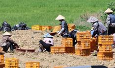 Rules relaxed on int'l workers changing jobs, need for reentry