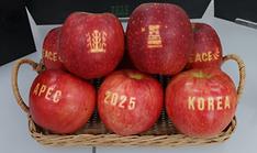 APEC event offers global stage to showcase Korean cuisine