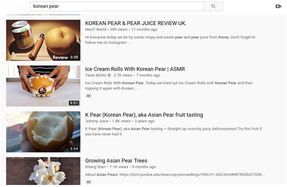 <실제로 미국 유튜브 검색시 한국산 배에 관련된 콘텐츠가 다수 존재한다. - 출처 : 유튜브(검색어: korean pear)>