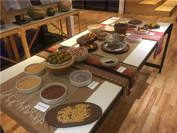 맛 연구실에 전시된 아르헨티나 농산품 – 출처 : 통신원 촬영