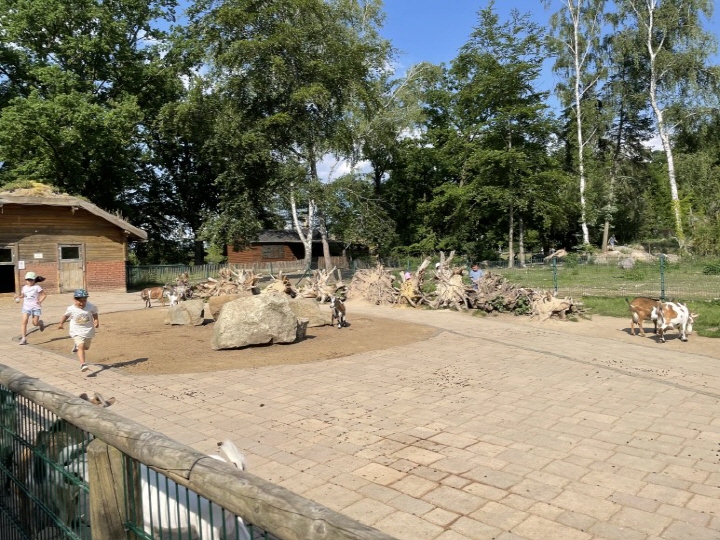 동물원 Essehof