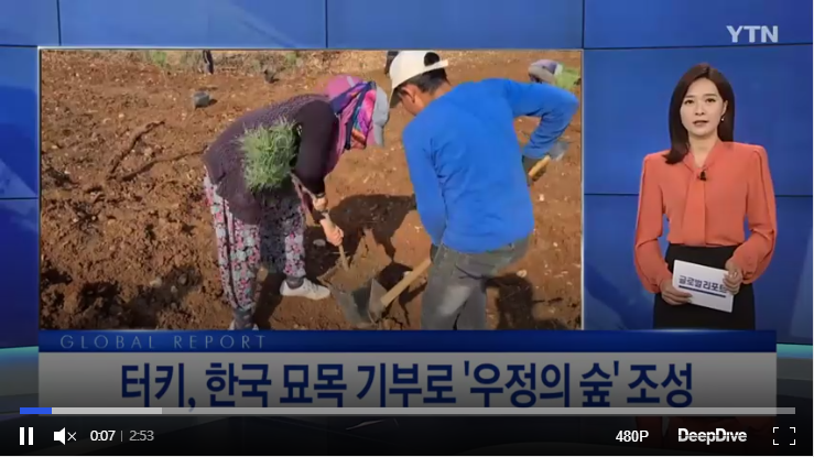 터키, 한국의 묘목 기부 행렬 '우정의 숲'  조성