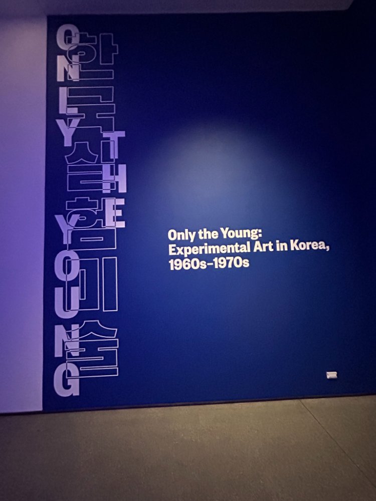 < 미국의 미술관 전시에 등장한 한국어 안내가 주는 감동 - 출처: 통신원 촬영 >