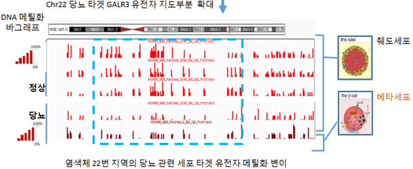 한국인 당뇨병 후성유전체 지도(예시: 당뇨병 타겟유전자 GALR3 부위) 